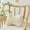 Beige-BG, variant on Ergonomic Back Support, Posture Corrector, Lumbar Cushion for Office Chair, Polyester Pillow for Prolonged Sitting, 1 Count