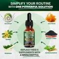 thumbnail image 3 of Parrox Soursop Seamoss Senna Liquid Drops with Moringa, Black Cumin Seed & Ashwagandha Root Extract, 6 in 1 Extra Strength Formula for Daily Wellness Support, Mixed Berry Flavor, 60 Servings, 3 of 9