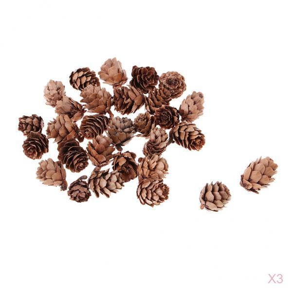 50pcs Small Real Natural Pine Cones for Christmas Ornaments Home Decoration 