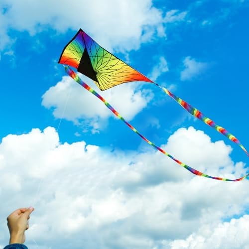 Large Delta Kite for Kids & Adults,Extremely Easy to Fly Kite for Beach Trip,String Line Included,with Colorful Tail,Perfect for Beginners Flower