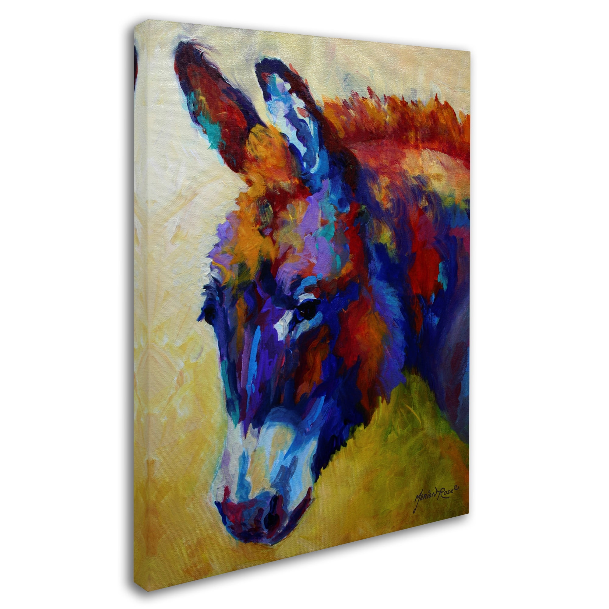 Trademark Fine Art 'Donkey XIII' Canvas Art by Marion Rose