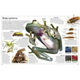 thumbnail image 4 of Animal, 4 of 4