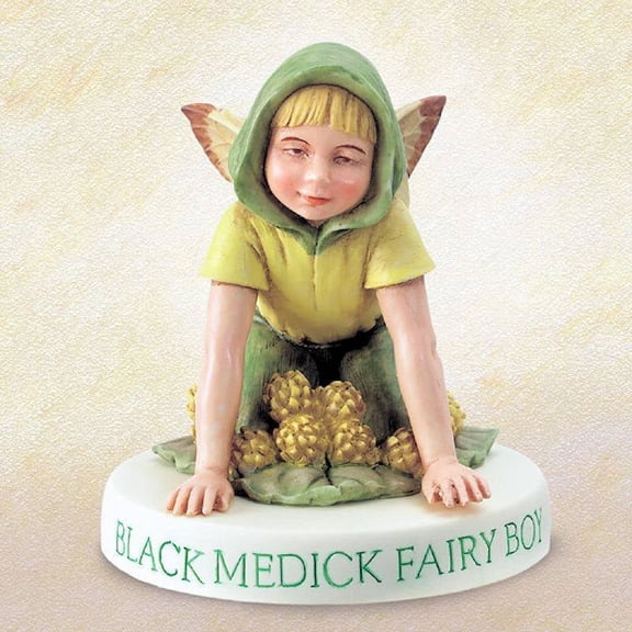 Black Medick Boy Flower Fairy Ornament on Base by Cicely Mary Barker