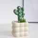 thumbnail image 4 of Faux Cactus Greenery in Ceramic Pot for Home Office Desk Decor 1-Piece, 4 of 6