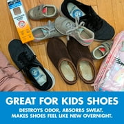 Arm & Hammer in-Shoe Odor Destroying Pouches, 2 Pack