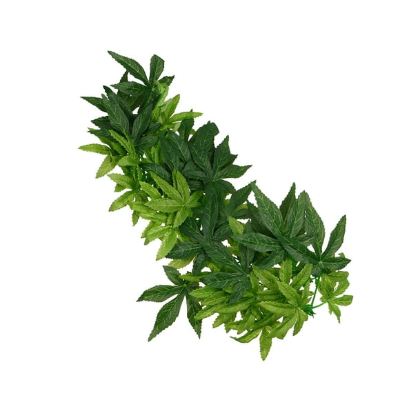 Bearded Dragon Habitat Decor