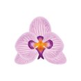 thumbnail image 1 of Crystal Candy Pink Orchid Edible Flower Kit - Pack of 9, 1 of 2