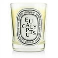 thumbnail image 2 of Diptyque Scented Candle - Eucalyptus, 2 of 2