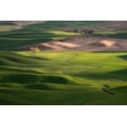 thumbnail image 2 of Jaynes Gallery 32x23 White Modern Wood Framed Museum Art Print Titled - USA-Washington-Palouse-Rolling spring wheat fields, 2 of 4