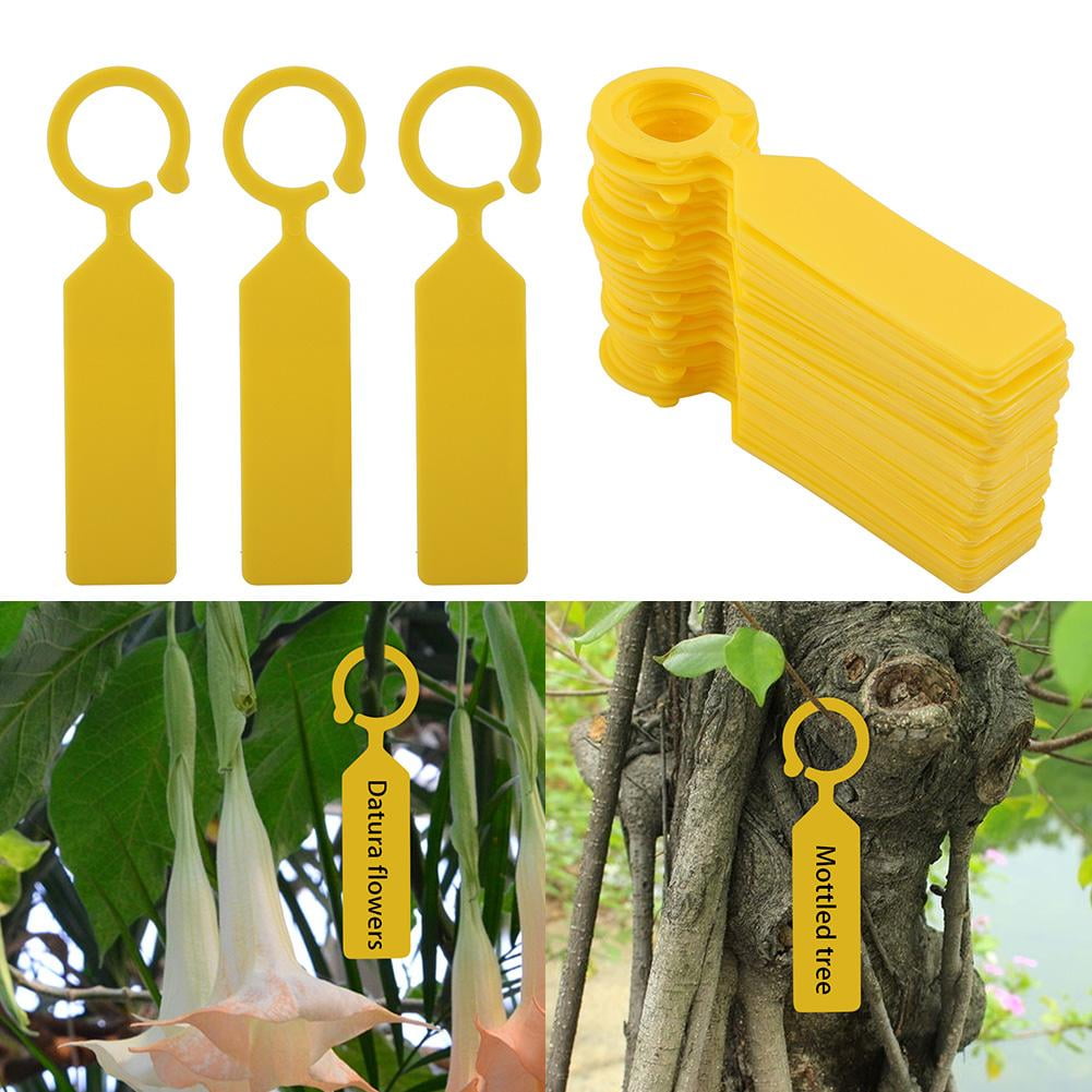 Tebru 100 PCS Plastic Hanging Labels for Plant Tree Nursery Seedling Tags Garden Decor, Hanging