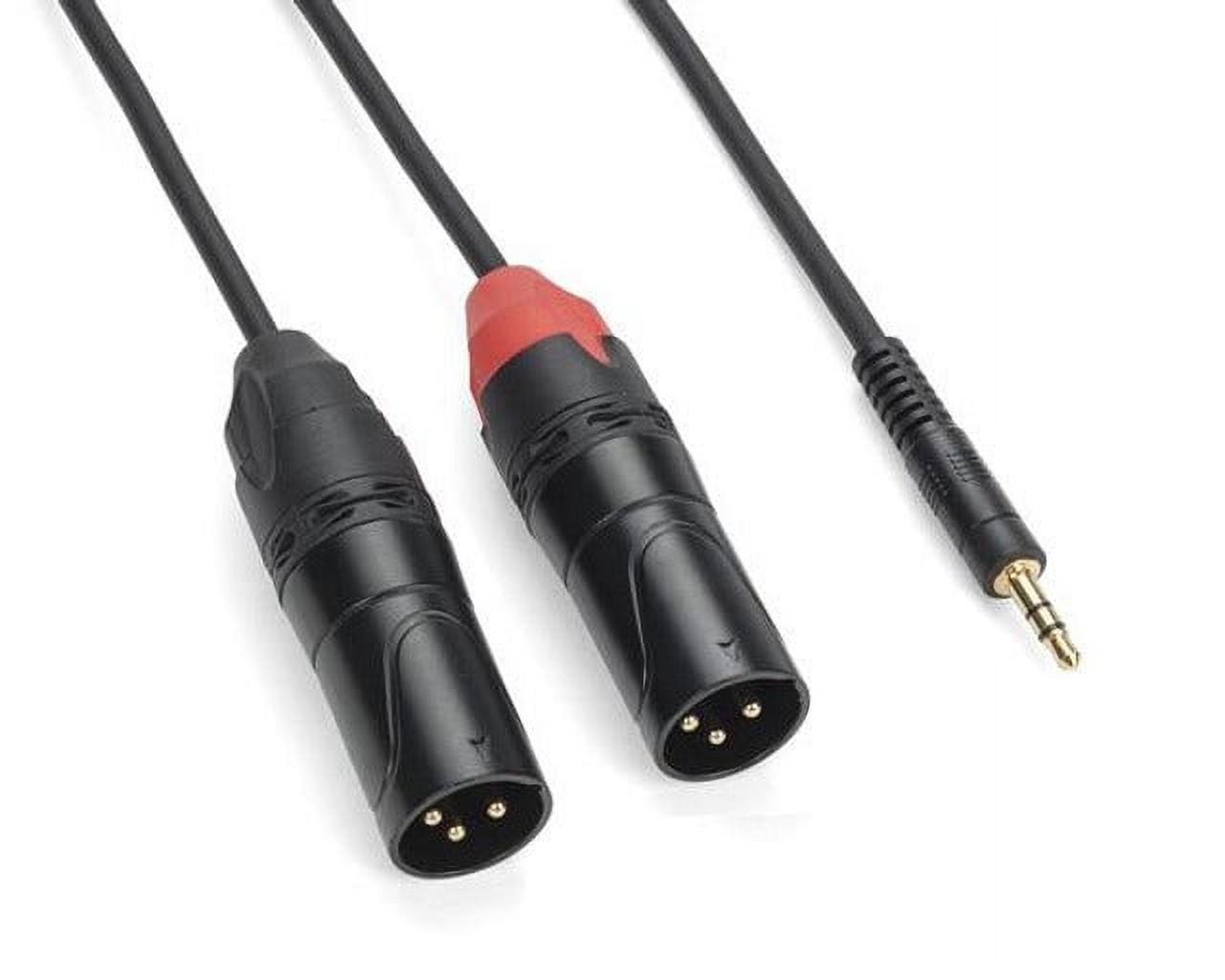 Tourtec Tourtek PRO TPA Breakout Cable - 1/8" TRS to Dual XLR Male 9ft