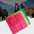 Colorful Equestrian Training Flags For Effective For Horse Training ...