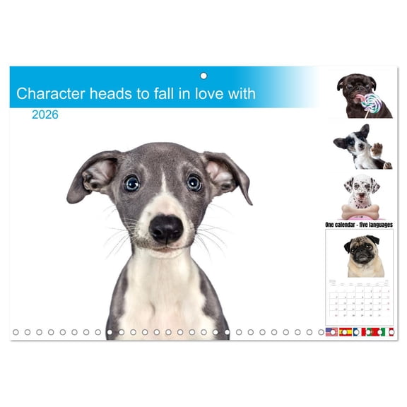 Character heads to fall in love with (Monthly Wall Calendar 2026 16.5 x 23.4 (open)), CALVENDO 14 Month Calendar