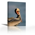 thumbnail image 1 of Brown Pelican adult portrait, California - Contemporary Fine Art Giclee on Canvas Gallery Wrap - wall décor - Art painting - 24 x 36 Inch - Ready to Hang, 1 of 2