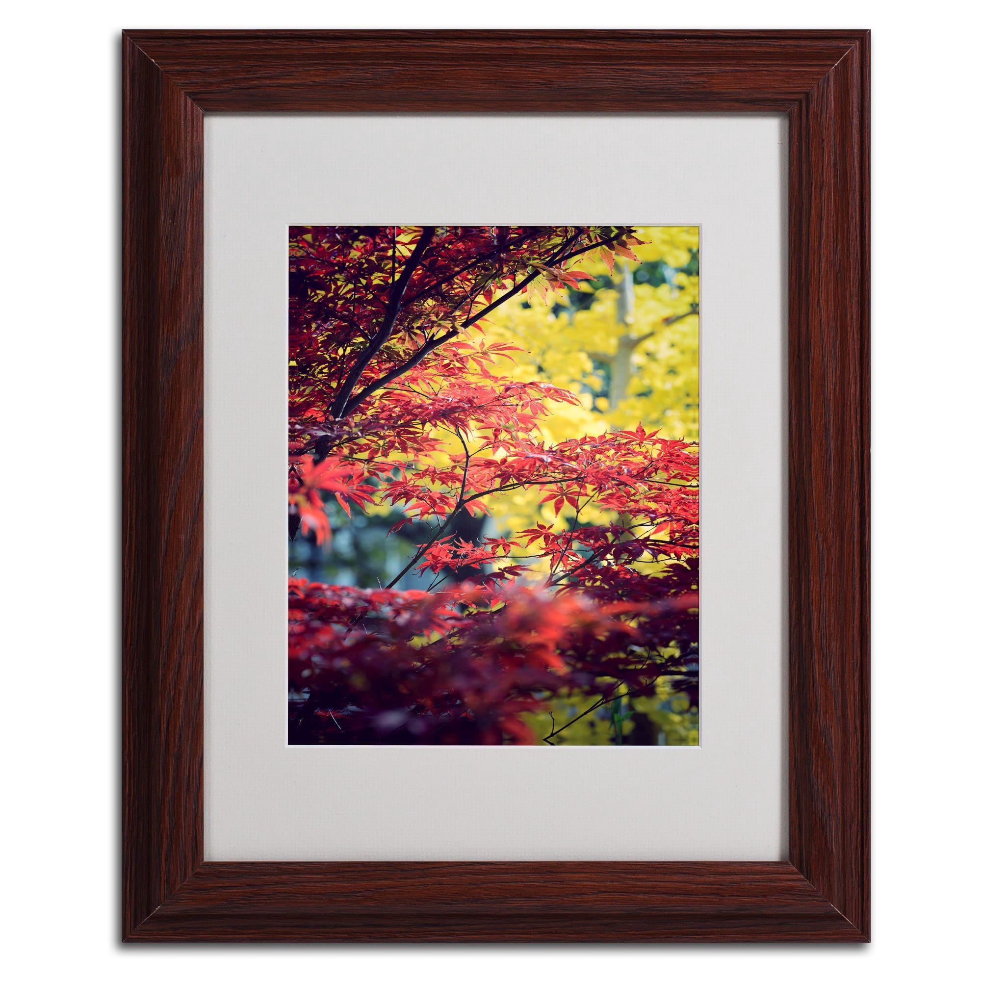 "Red vs Yellow" Canvas Art by Philippe Sainte-Laudy, Wood Frame