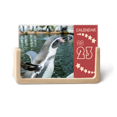 thumbnail image 1 of Nature Antarctic Penguin Science Picture Desk Calendar Desktop Decoration 2023, 1 of 3