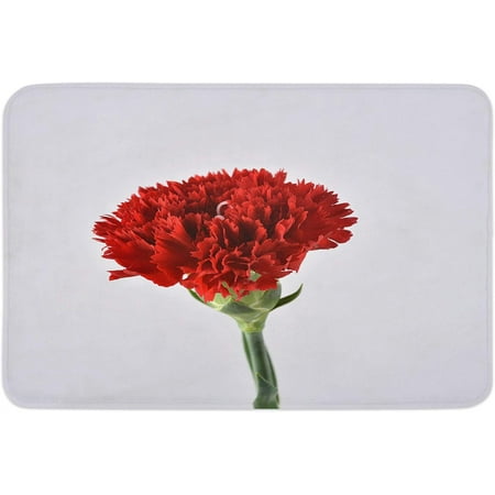 

Red Carnation Indoor Door Mat Anti-Skid Memory Foam Floor Mat Absorbent Entrance Rug Easy Clean Washable Doormat for Entryway Patio Front Door Mother s Day Flower Minimalism 20x32 Inch