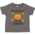 thumbnail image 3 of Inktastic Grandmas Little Pumpkin with Leaves and Stars Boys or Girls Toddler T-Shirt, 3 of 5