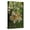 Canvas, variant on Art.com USA, California, San Luis Obispo County. Monarch butterflies in wintering cluster. Stretched Canvas Print Wall Art by Jaynes Gallery, 12" x 18"