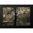 thumbnail image 2 of DeLuca, Pat 18x13 Black Modern Framed Museum Art Print Titled - Conversation Of Earth, 2 of 5