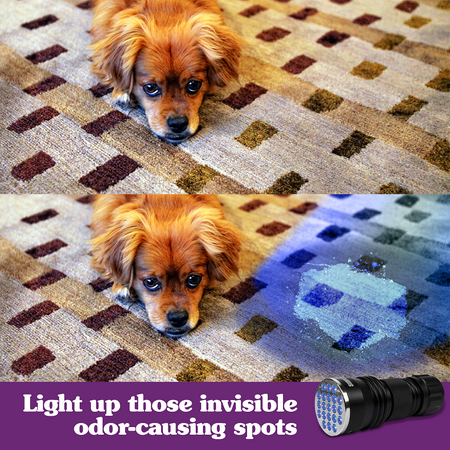 Simple Solution Spot Spotter HD UV LED Urine Detector, Spot and Eliminate Pet Urine Stains and Odors, 1 Light