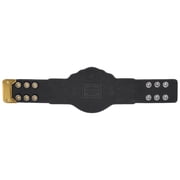 WWE World Heavyweight Champion Mini Title Belt