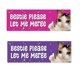 thumbnail image 1 of Sad Cat Sticker Bumper Sticker, 10pcs Vinyl Bumper Sticker, Sad Cat Bestie Please Let Me Merge Bumper Stickers, 1 of 4