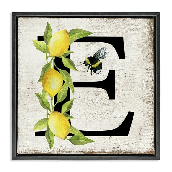 Stupell Industries Lemon & Bee E Letter Insects Painting Black Floater Framed Canvas Art Print Wall Art, 18 x 18