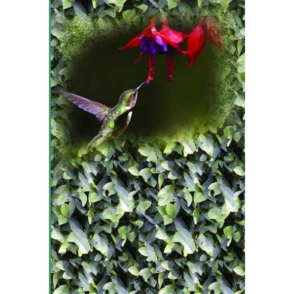 Good Days Start (Paperback)