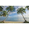 York Wallcoverings MP4911M Beach View with Palm Trees, Mural