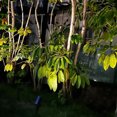 thumbnail image 6 of FSLiving 2 Ways Use Clip Floor Spotlight with Remote Control Waterproof Solar Landscape Lamp Adjustable Angle Dimmable Timing Clamp Lamp for Garden Gate Fence Indoors Outdoors Decor - 1 Pack, 6 of 7