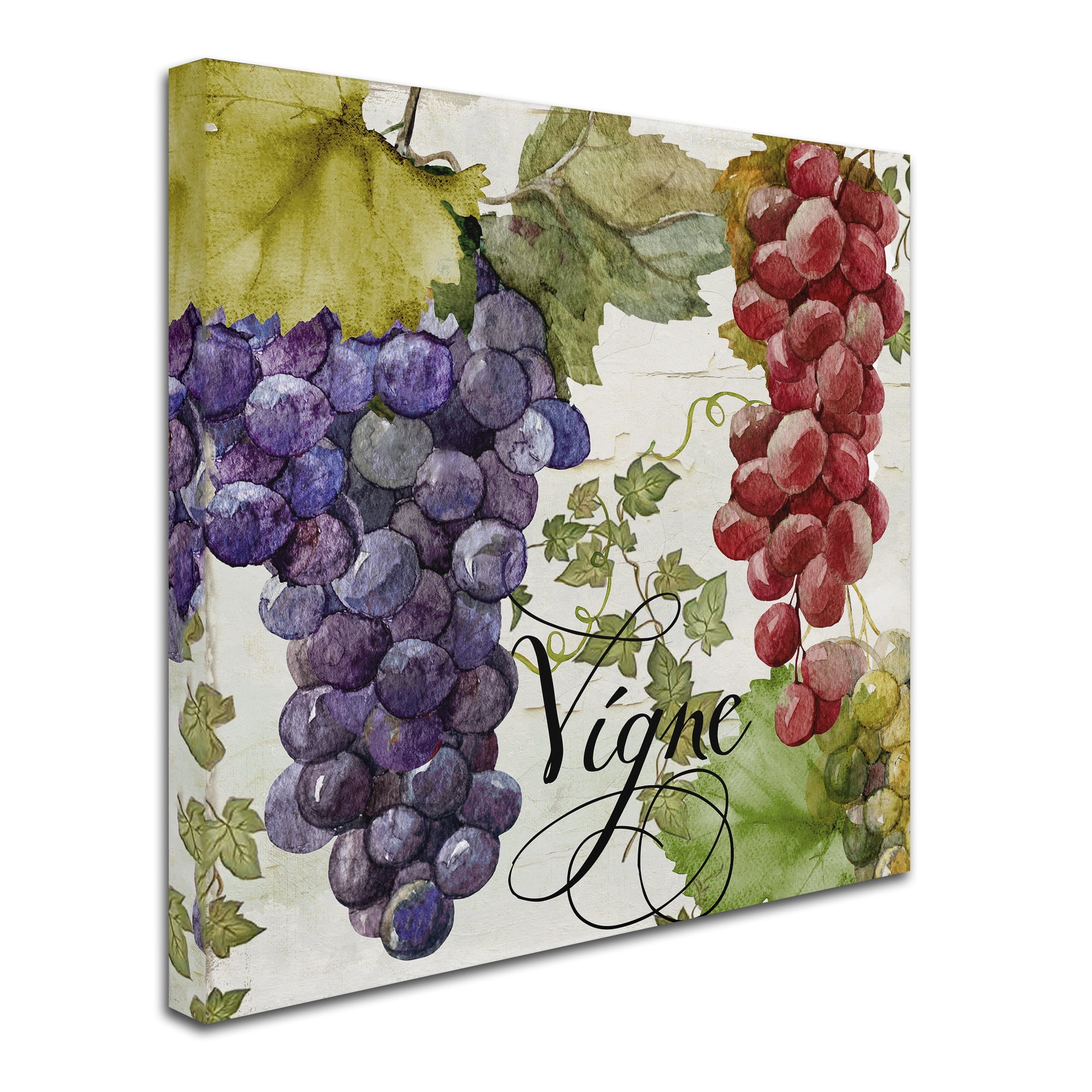 Trademark Fine Art "Wines of Paris I" Canvas Art by Color Bakery