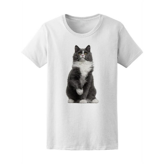 Grey And White Cat Sitting T-Shirt Women -Image by Shutterstock, Female Medium