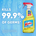 thumbnail image 6 of Windex Multi-Surface Cleaner and Disinfectant Spray Bottle, Scent, Citrus Fresh, 23 Fl Oz (Pack of 1), 6 of 13