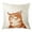 Smirking Orange Tabby Cat, variant on WIRESTER 18x18 inch Square Decorative Throw Sofa Pillow Cases, Siamese Kitten Cat