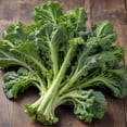 thumbnail image 3 of 3 Pack – Spring Rapini Broccoli Raab, Non-GMO Heirloom Vegetable Garden Seeds (1g Per Pack, Approx. 960 Seeds Total), 3 of 5