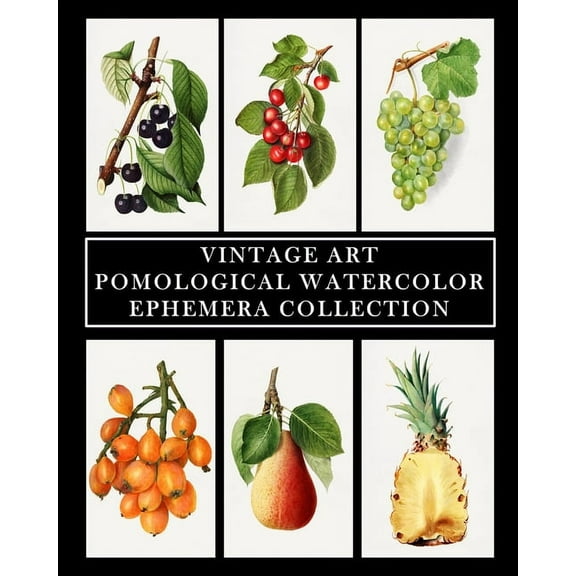 Vintage Art: Pomological Watercolor: Ephemera Collection: Botanical Fruit Prints, (Paperback)