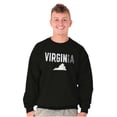 thumbnail image 5 of Virginia Funny Pun Tourist Souvenir Sweatshirt for Men or Women Brisco Brands S, 5 of 5