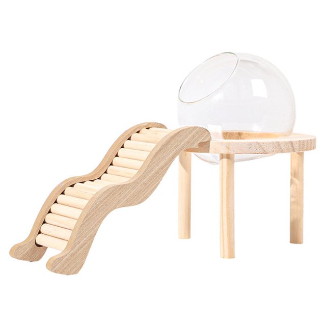 Milaget Glass Hamster House with Wooden Ladder for Chipmunk Guinea Pig Small Animals L