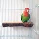 thumbnail image 1 of 2 piezas de soporte de madera para percha de pájaros, plataforma para loros, percha colgante, juguete, accesorios para jaula de pájaros, 1 of 7