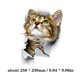thumbnail image 4 of Vivid 3D Cat Etiqueta de La Pared Inodoro Armario Removible Decoración de la Habitación Kid Abanopi XH2002, 4 of 7