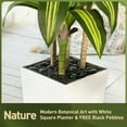 thumbnail image 3 of Artificial Dracaena Tree 6FT - UV Resistant Faux Tree with Large Taper Planter & Pebbles - Tall Fake Plants Indoor & Outdoor, Potted Floor Plant for Home Living Room Porch Decor, VN127, 3 of 9