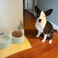 thumbnail image 4 of Laklulu Paquete de 2 comederos para mascotas para perros, gatos, cuenco de doble elevación, contenedor de agua y comida de plástico, 4 of 5