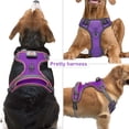 thumbnail image 2 of Chaleco de perro iluminado Vizbrite LED recargable para perros, 2 of 6