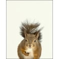 thumbnail image 2 of Baby Woodland Squirrel - Nursery Wall Décor Farm Baby Animal Art Print, 2 of 2