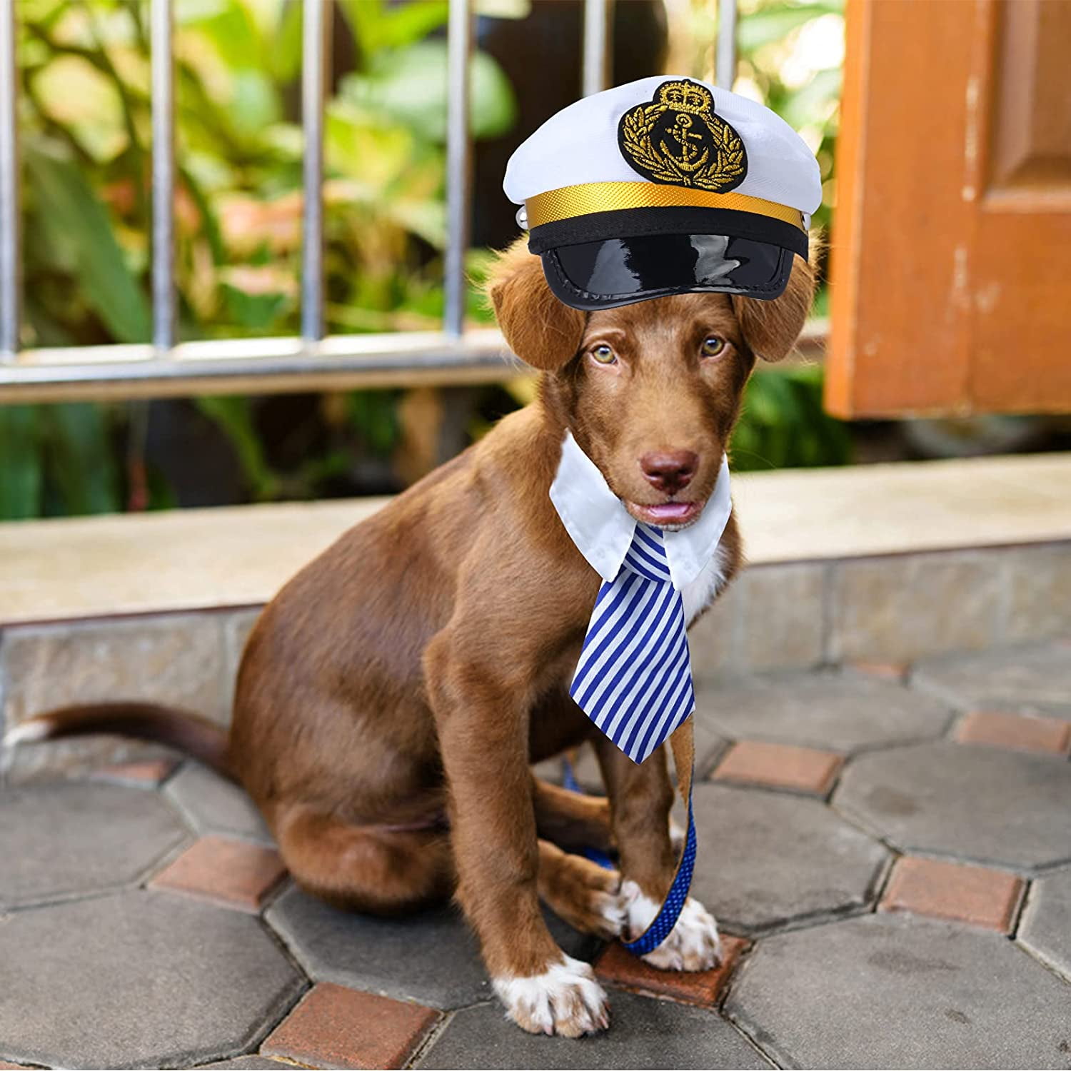 Animal Captain Dog Costume Custom Made Dog Cat Pet Pilot Captain
