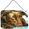 thumbnail image 1 of Carolines Treasures 7420DS812 Chocolate Labrador Waiting Wall or Door Hanging Prints, 1 of 1