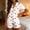 C_ Red, variant on Women Summer Abstract Print Ruffle Trim Pajama Set Short Sleeve Elastic Waist Shorts All Day Comfort Homewear Blue XXL