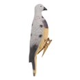 thumbnail image 1 of Jouet 3D Chasse aux Oiseaux Jardin - Coloré, 1 of 6