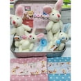 thumbnail image 6 of Bunny Easter Plush in Pocket Little Pocket Bunny, Bunnys Hugs in Box, 2026 New Easter Basket Stuffer, Easter Gifts , DIY Pet Bunny Adoption, Easters Baskets Decorative Boxes, 6 of 15